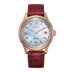 citizen watch powered by light