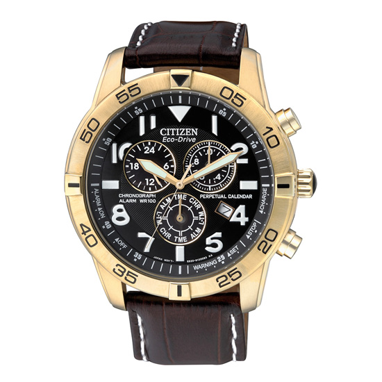 Buy Eco-Drive Perpetual Calendar Chronograph Watch BL5470-06A for